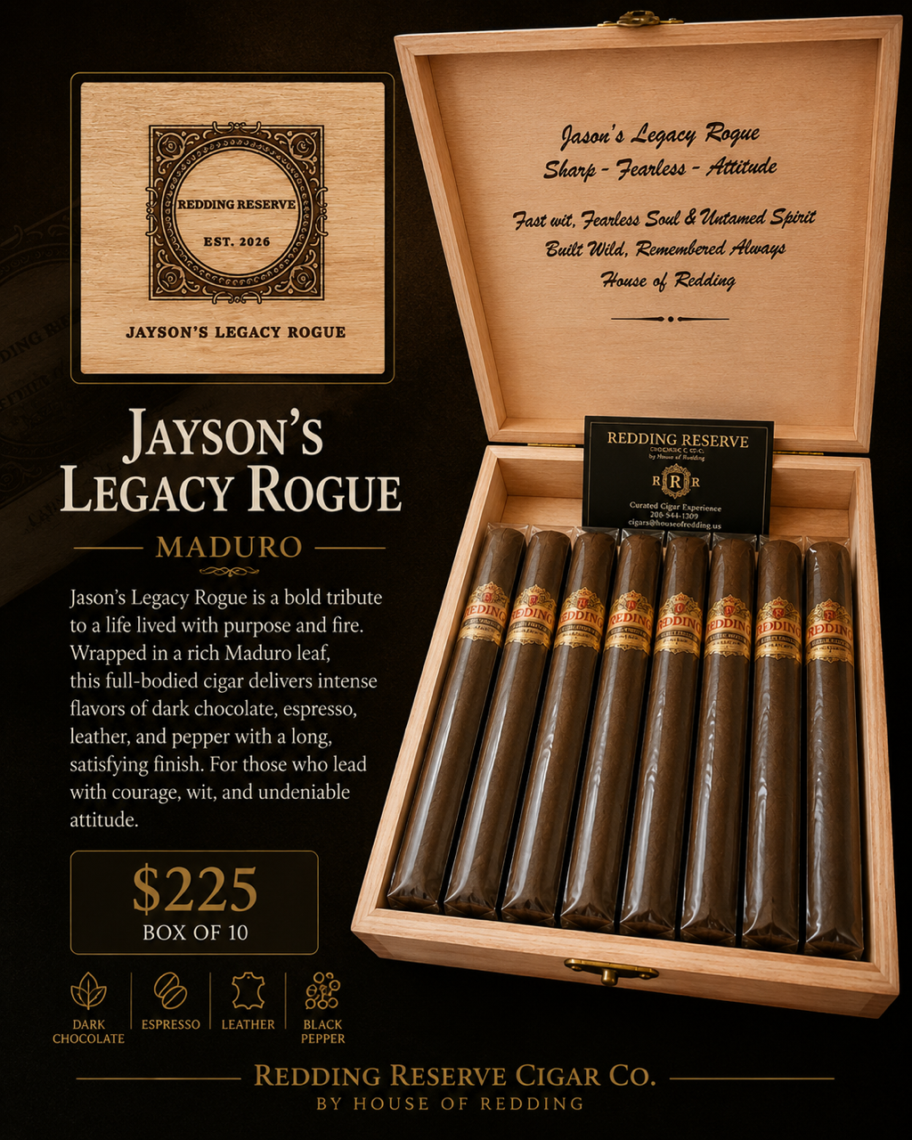 JAYSON'S LEGACY ROGUE Jayson's Legacy Rogue - Image 1